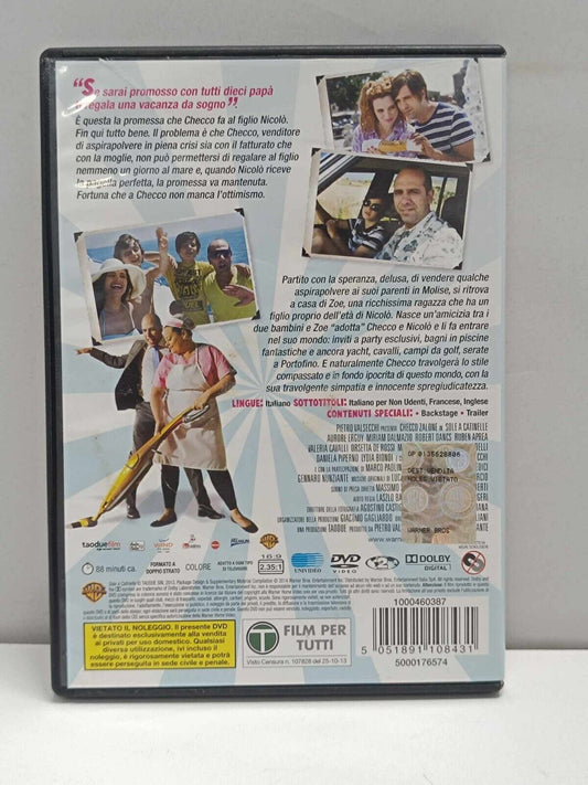 Sole A Catinelle 2013 Film DVD Italiano Usato Ita Checco Zalone